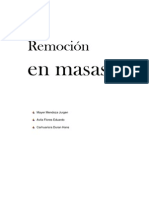 Remoción en Masas en El Perú