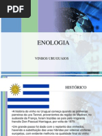 Enologia Uruguai