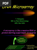 DNA Microarray