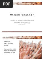 Mr. Ford'S Human A & P: Lesson 01: Introduc:on To Human Anatomy & Physiology