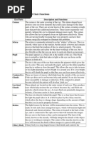 Parts of The Eye and Their Functions