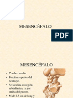 MESENCEFALO