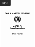  Bagua Dragon Body