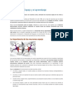 Las Neuronas Espejo y El Aprendizaje