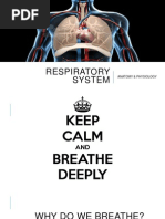 Respiratory System: Anatomy & Physiology