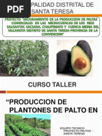 Curso Taller Paltos - Vivero