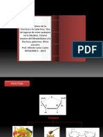 El Metabolismo de La Fructosa y La Galactosa. Vías de Ingreso de Estos Sustratos en La Glicólisis. Errores Innatos Del Metabolismo A La Fructosa, Galactosa. Otros Azucares