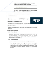 TDR Costos y Presupuestos Ocololo