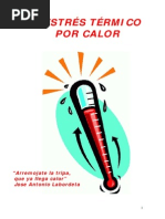 Doc58791 Estres Termico Por Calor