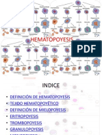 HEMATOPOYESIS W