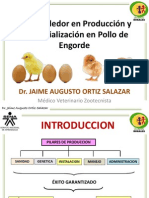 Curso Pollo de Engorde