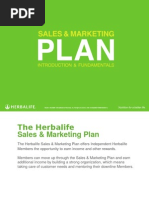 Sales & Marketing Plan - Introduction and Fundamentals