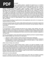 Qué Es y Cómo Proviene El Flujo de Energía