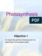 Photosynthesis