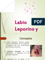 LABIO Leporino