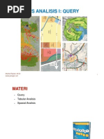 GIS Analysis I Query