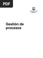 Manual 2014-II 03 Gestión de Procesos (0490) PDF