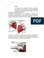 Sindrome de Pinzamiento Listo