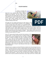 Poultry Genetics: History of Poultry: Chicken