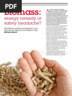 Biomass Energy Remedy or Safety Nightmare