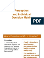 Perception and Individual Decision Making