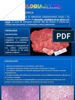 Practica Renal4