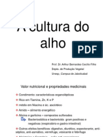 A Cultura Do Alho