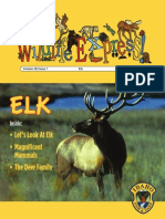 Enormous Elk - September, 2014