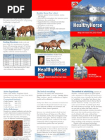 Healthy Horse Plus