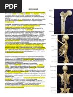 Osteología