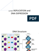 Replication Expession