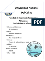 Informe 2 El Zooplancton