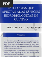 Clase 2 y 3 de Patobiologia