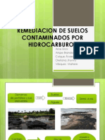 Remediacion de Suelos Contaminados Por Hidrocarburos