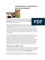 Proyectos Interdisciplinarios y Articulación de Áreas PDF