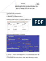 UdL Obstetricia y Ginecologia by Laia