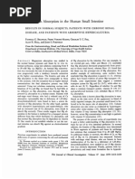 Magnesium Absorption in The Human Small Intestine