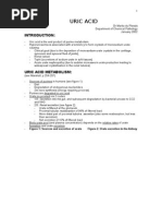 Uric Acid: de Novo Synthesis (Energy Requiring Process)