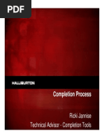 Halliburton PESA 2010 Spring Jannise