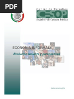 A Economia Informal. Evolucion Reciente y Perspectivas PDF