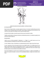 Astucias de Campamento PDF