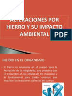 Alteraciones Por Hierro y Su Impacto Ambiental