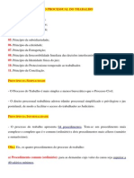 Princípios Do Direito Processual Do Trabalho e Organização Da Justiça Do Trabalho