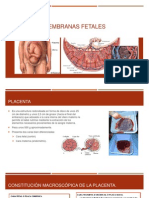 Placenta y Membranas Fetales-Mantilla Ibañez.