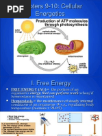 Ap - Cellular Energetics - Cell Respiration