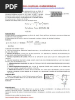 Ejercicios Resueltos de Circuitos Hidráulicos