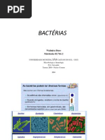 BACTÉRIAS