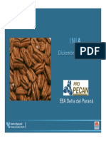 Riego (Pro Pecan)