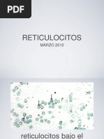 Reticulocitos