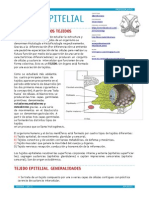 Apuntes Tejido Epitelial PDF